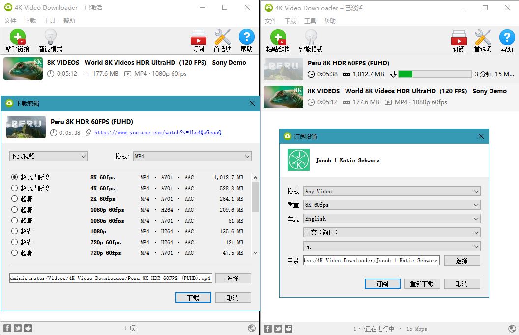 4K Video Downloader v4.20.1 4K视频下载器